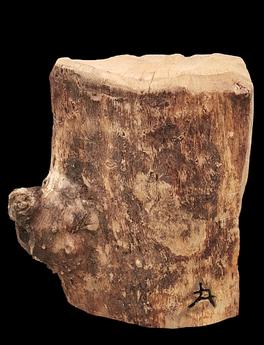 scheiereule barn owl eule holz motorsge kettensge schnitzen kettesgenkunst motorsgenkunst holzwerker